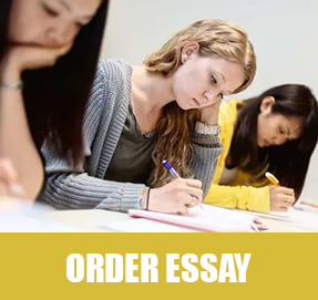 Essays on health issues