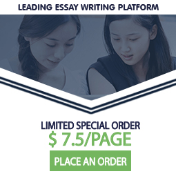 professional essay writing services review professional essay writing services review