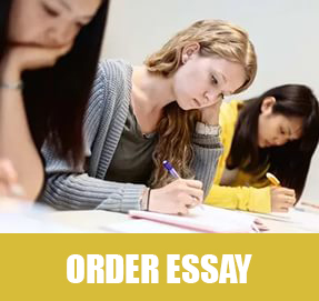 Buy essay online cheap summary of corrections