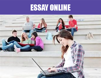 Do my university assignment for me
